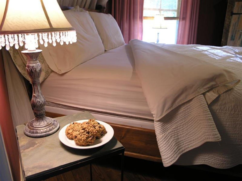 Dragonfly Cookies, bedside - Food Gypsy