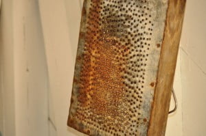 Coconut shredder, Belize - FG