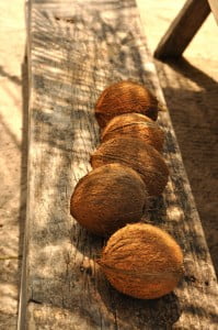 Coconuts, Belize - FG