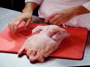 Fold wings back, pass needle through thigh - FG 