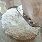 Frozen shortening, grated into dry mixture Frozen shortening, grated into dry mixture