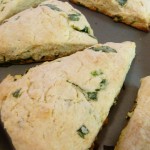 Gypsy Cooking 0211 008