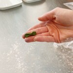 Pinch, rounded flat tube in the middle...