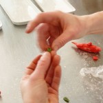 ... separate to form two leaves