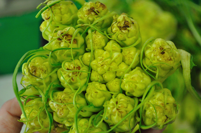 Mystery Vegetable, Food Gypsy Mystery Vegetable, Food Gypsy