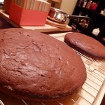 Double Chocolate Raspberry Cake - just the cake