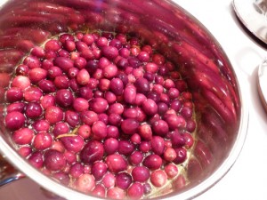Cranberries & Orange, bring to a boil - Food Gypsy Cranberries & Orange, bring to a boil - Food Gypsy