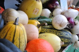 Squash, market tour - Food Gypsy