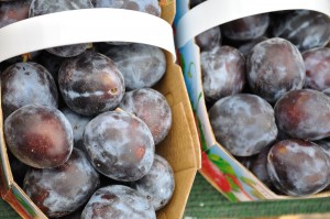 Plums, Harvest Market - Food Gypsy