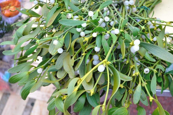 Mistletoe, outdoor market - Food Gypsy