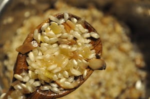 Coated in fat, slightly transparent - Food Gypsy