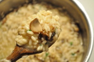 Perfectly creamy - Food Gypsy