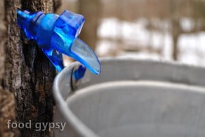 Canadian Maple - FG Canadian Maple - FG