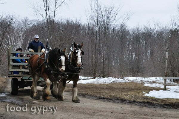 Proulx Farms, Sugarbush - FG Proulx Farms, Sugarbush - FG