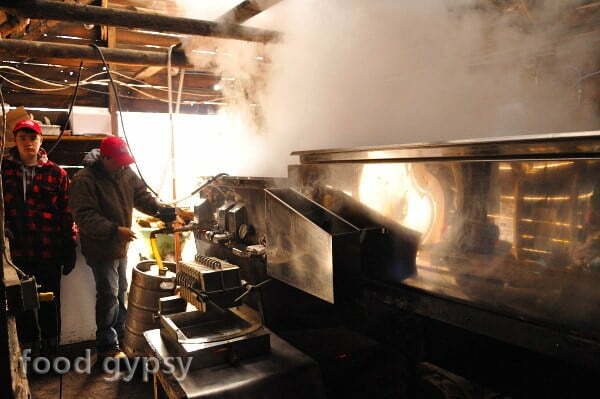 Proujx Sugar Shack, stream - FG Proulx Sugar Shack 2 - FG