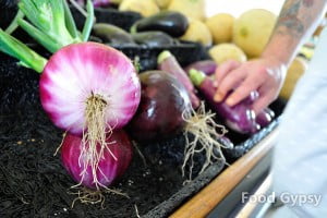 Potager Eardley, Onions - FG