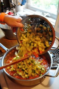 Ratatouille, Mix 2 - FG