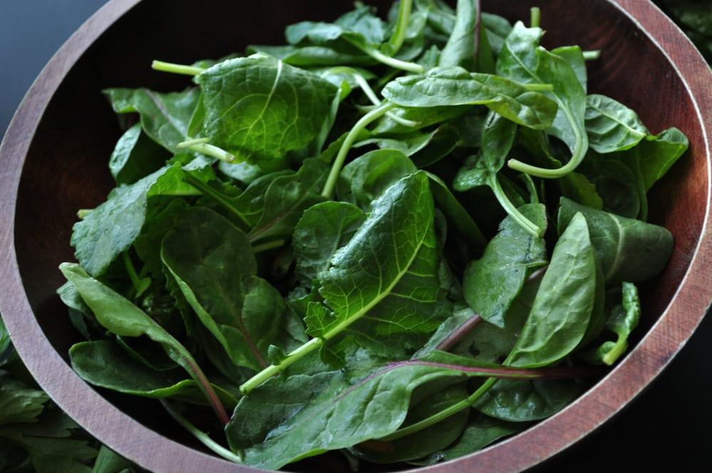 Salad Science, Leafy Greens