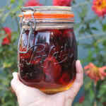 Quick Preserved Plums Recipe