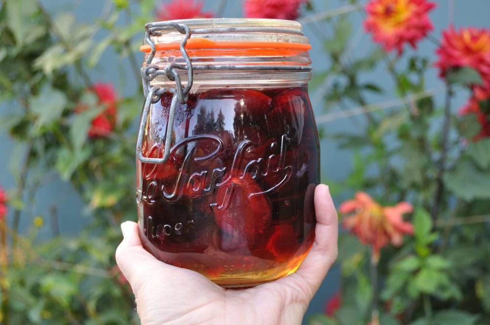 Quick Preserved Plums Recipe